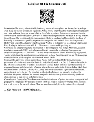 Evolution Of The Common Cold
Introduction The history of mankind is intricately woven with the planet we live on, but is perhaps
even more dependent upon micro organisms. While people often think that micro organisms are scary
and cause sickness, there are several of these beneficial organisms that are more common than the
common cold. Saccharomycetes Cerevisiae is one of these organisms and has been in use by humans
for millennia. The evolution of this micro organic life form has been highly guided by the hand of
humanity to suite several specific purposes that our species has, and still does, use this yeast for.
History and Uses of Saccharomycetes Cerevisiae While it is still relatively speculative when human
kind first began its interactions with S. ... Show more content on Helpwriting.net ...
Cerevisiae has undergone genetic modification to do some pretty wild things. Morphine, codeine,
tetrahydrocannabinol (THC), and other cannabinoids can now be synthesized from precursor
chemicals using GMO S. Cerevisiae. THC and other cannabinoids can be produced by engineered
yeasts, which have the same functions and chemistry as those from the plant, but are FDA approved
for medical uses, while the plant itself is not (Khamsi, 2015).
Engineered s. cerevisiae with a reconstituted 7 gene pathway is feasible for the synthesis and
production of codeine and morphine from (R) reticuline (Fossati, et.al, 2015). S. cerevisiae cells fed
(R) reticuline, salutaridine or codeine as substrates showed that all enzymes were functionally co
expressed in yeast and that activity of salutaridine reductase and codeine O demethylase likely limit
flux to morphine synthesis (Fossati, et.al, 2015). This study describes a significant advance for S.
cerevisiae and paves the way for complete synthesis of substances not naturally produced by
microbes. Morphine alkaloids are narcotic analgesics and the most powerful naturally produced
alkaloids used to treat severe and chronic pain.
Capturing and Propagating Yeast In order to study the evolution of yeasts, they must be captured and
propagated. The process for doing so is rather simple; a juice or slightly sweetened drink, such as a
tea, is left open to the air with a loose filter, such as cheesecloth, for a day or two. Once signs of
... Get more on HelpWriting.net ...
 
