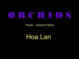 ORCHIDS
Music: Autumn Rose

Hoa Lan

 
