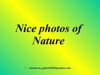 Nice photos of Nature ,[object Object]