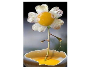 Nice pics