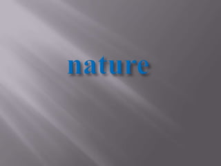nature
