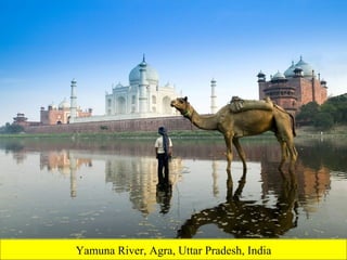 Yamuna River, Agra, Uttar Pradesh, India 