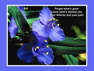 Forget what’s gone Leave what’s behind you Your failures and your pain