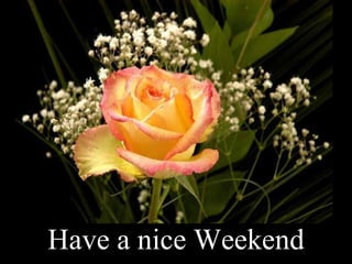 Have a nice Weekend