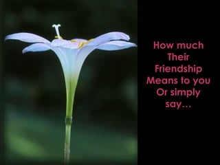 How much Their Friendship Means to you Or simply say… 