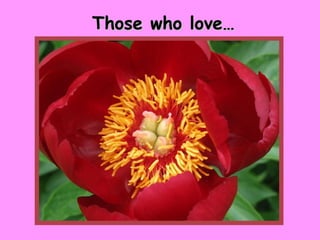 Those who love… 