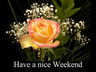 Have a nice Weekend 