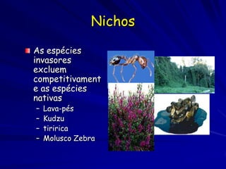 Nichos

As espécies
invasores
excluem
competitivament
e as espécies
nativas
–   Lava-pés
–   Kudzu
–   tiririca
–   Molusco Zebra
 