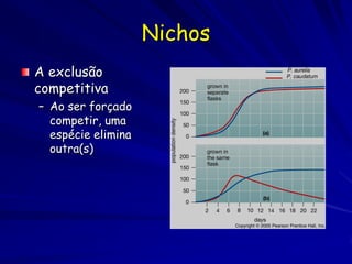Nichos
A exclusão
competitiva
– Ao ser forçado
  competir, uma
  espécie elimina
  outra(s)
 