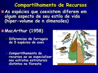 Compartilhamento de Recursos
As espécies que coexistem diferem em
algum aspecto de seu estilo de vida
(hiper-volume de n dimensões)

MacArthur (1958)
– Diferencias de forrageio
  de 5 espécies de aves


– Compartilhamento de
  recursos ao se especializar
  nos estratos estruturais
  distintos na floresta
 