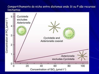 Compartilhamento do nicho entre diatomas onde Si ou P são recursos
limitantes
 