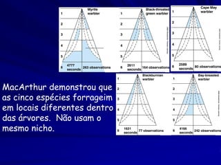 MacArthur demonstrou que
as cinco espécies forrageim
em locais diferentes dentro
das árvores. Não usam o
mesmo nicho.
 