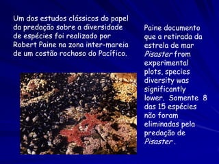 Um dos estudos clássicos do papel
da predação sobre a diversidade     Paine documento
de espécies foi realizado por       que a retirada da
Robert Paine na zona inter-mareia   estrela de mar
de um costão rochoso do Pacífico.   Pisaster from
                                    experimental
                                    plots, species
                                    diversity was
                                    significantly
                                    lower. Somente 8
                                    das 15 espécies
                                    não foram
                                    eliminadas pela
                                    predação de
                                    Pisaster .
 
