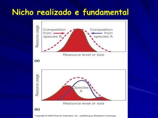 Nicho realizado e fundamental
 