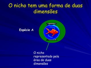 O nicho tem uma forma de duas
          dimensões


    Espécie A




                O nicho
                representado pela
                área de duas
                dimensões
 
