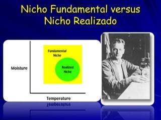 Nicho Fundamental versus
    Nicho Realizado
 