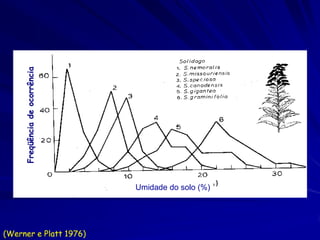 Freqüência de ocorrência




                                Umidade do solo (%)




(Werner e Platt 1976)
 
