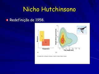 Nicho Hutchinsono
Redefinição de 1958.
 