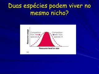 Duas espécies podem viver no
       mesmo nicho?
 
