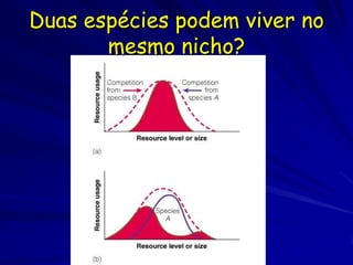 Duas espécies podem viver no
       mesmo nicho?
 