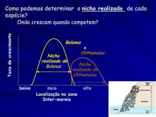 Como podemos determinar o nicho realizado de cada
espécie?
                      Onde crescem quando competem?
Taxa de crescimento




                                           Balanus
                                                      e
                                                     Chthamalus
                                   Nicho
                                realizado de
                                  Balanus         Nicho
                                               realizado de
                                                Chthamalus

                      baixo        meio               alto
                              Localização na zona
                                 Inter-mareia
 