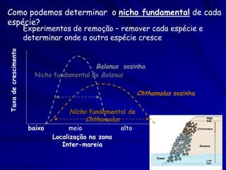 Como podemos determinar o nicho fundamental de cada
espécie?
                      Experimentos de remoção – remover cada espécie e
                      determinar onde a outra espécie cresce
Taxa de crescimento




                                            Balanus sozinha
                         Nicho fundamental de Balanus

                                                            Chthamalus sozinha

                                    Nicho fundamental de
                                         Chthamalus
                       baixo        meio             alto
                               Localização na zona
                                  Inter-mareia
 