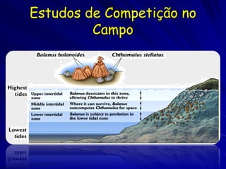 Estudos de Competição no
         Campo
 