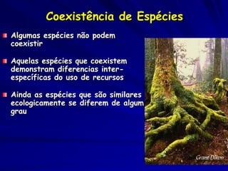 Coexistência de Espécies
Algumas espécies não podem
coexistir

Aquelas espécies que coexistem
demonstram diferencias inter-
específicas do uso de recursos

Ainda as espécies que são similares
ecologicamente se diferem de algum
grau
 