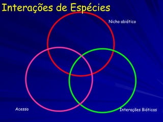Interações de Espécies
                     Nicho abiótico




  Acesso                  Interações Bióticas
 