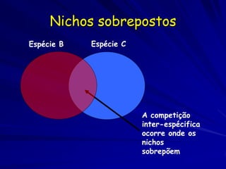 Nichos sobrepostos
Espécie B   Espécie C




                        A competição
                        inter-espécifica
                        ocorre onde os
                        nichos
                        sobrepõem
 