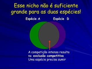 Esse nicho não é suficiente
grande para as duas espécies!
      Espécie A         Espécie D




       A competição intensa resulta
       na exclusão competitiva
       Uma espécie precisa sumir
 