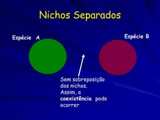 Nichos Separados

Espécie A                       Espécie B




            Sem sobreposição
            dos nichos.
            Assim, a
            coexistência pode
            ocorrer
 