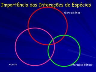 Importância das Interações de Espécies
                          Nicho abiótico




   Acesso                      Interações Bióticas
 