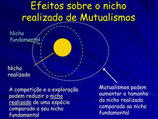 Efeitos sobre o nicho
     realizado de Mutualismos
Nicho
fundamental




Nicho
realizado

A competição e a exploração   Mutualismos podem
podem reduzir o nicho         aumentar o tamanho
realizado de uma espécie      do nicho realizado
comparado a seu nicho         comparado ao nicho
fundamental                   fundamental
 