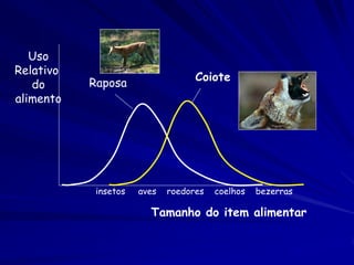 Uso
Relativo
                                   Coiote
   do      Raposa
alimento




            insetos   aves   roedores   coelhos   bezerras

                        Tamanho do item alimentar
 