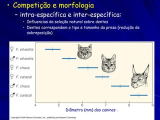 • Competição e morfologia
  – intra-específica e inter-específica:
    • Influencias da seleção natural sobre dentes
    • Dentes correspondem o tipo e tamanho da presa (redução de
      sobreposição)




                         Diâmetro (mm) dos caninos
 