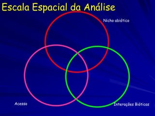 Escala Espacial da Análise
                       Nicho abiótico




  Acesso                    Interações Bióticas
 