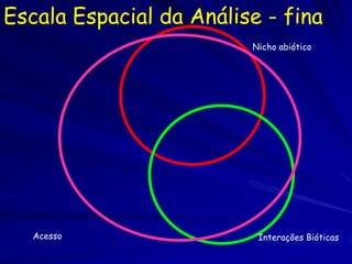 Escala Espacial da Análise - fina
                         Nicho abiótico




   Acesso                 Interações Bióticas
 