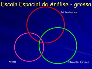 Escala Espacial da Análise - grossa
                       Nicho abiótico




  Acesso                    Interações Bióticas
 