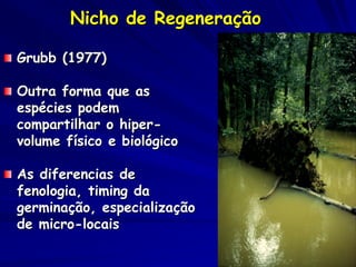 Nicho de Regeneração

Grubb (1977)

Outra forma que as
espécies podem
compartilhar o hiper-
volume físico e biológico

As diferencias de
fenologia, timing da
germinação, especialização
de micro-locais
 