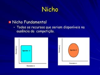 Nicho
Nicho Fundamental
– Todos os recursos que seriam disponíveis na
  ausência da competição.
 