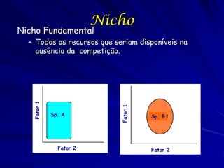 Nicho
Nicho Fundamental
  – Todos os recursos que seriam disponíveis na
    ausência da competição.
   Fator 1




                            Fator 1
             Sp. A                    Sp. B




               Fator 2                Fator 2
 
