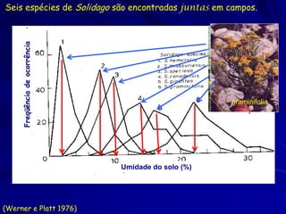 Seis espécies de Solidago são encontradas juntas em campos.

     Freqüência de ocorrência




                                                      missouriensis
                                                      nemoralis
                                                      canadensis
                                                       speciosa
                                                        graminifolia
                                                        gigantea




                                Umidade do solo (%)




(Werner e Platt 1976)
 