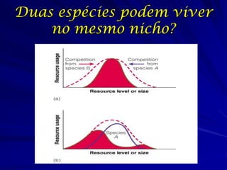 Duas espécies podem viver
    no mesmo nicho?
 