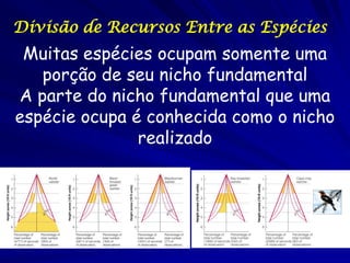 Divisão de Recursos Entre as Espécies
 Muitas espécies ocupam somente uma
   porção de seu nicho fundamental
A parte do nicho fundamental que uma
espécie ocupa é conhecida como o nicho
               realizado
 