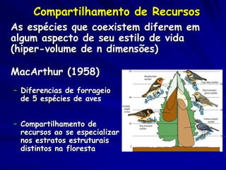 Compartilhamento de Recursos
As espécies que coexistem diferem em
algum aspecto de seu estilo de vida
(hiper-volume de n dimensões)

MacArthur (1958)
– Diferencias de forrageio
  de 5 espécies de aves


– Compartilhamento de
  recursos ao se especializar
  nos estratos estruturais
  distintos na floresta
 