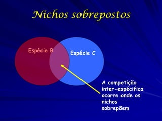Nichos sobrepostos


Espécie B   Espécie C




                        A competição
                        inter-espécifica
                        ocorre onde os
                        nichos
                        sobrepõem
 