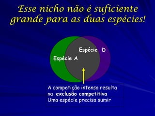 Esse nicho não é suficiente
grande para as duas espécies!


                      Espécie D
          Espécie A




        A competição intensa resulta
        na exclusão competitiva
        Uma espécie precisa sumir
 
