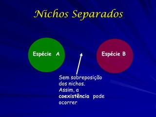 Nichos Separados



Espécie A              Espécie B



        Sem sobreposição
        dos nichos.
        Assim, a
        coexistência pode
        ocorrer
 