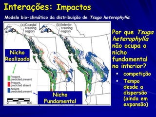 Interações: Impactos
  Modelo bio-climático da distribuição de Tsuga heterophylla:


                                                                                                    Por que Tsuga
                                                                                                    heterophylla
                                                                                                    não ocupa o
    Nicho                                                                                           nicho
   Realizado                                                                                        fundamental
                                                                                                    no interior?
                                                                                                         competição
                                                                                                         Tempo
                                                                                                          desde a
                                         Nicho                                                            dispersão
                                                                                                          (ainda em
                                      Fundamental
                                                                                                          expansão)
Predicted distribution of western hemlock based on bioclimatic modeling. From Gavin and Hu, 2006. Journal of Biogeography 33,
1384–1396.
 